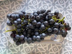 PHOTO-2022-08-20-16-15-24